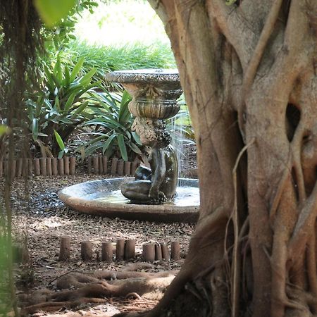 Mount Azimbo Lodge Louis Trichardt Luaran gambar
