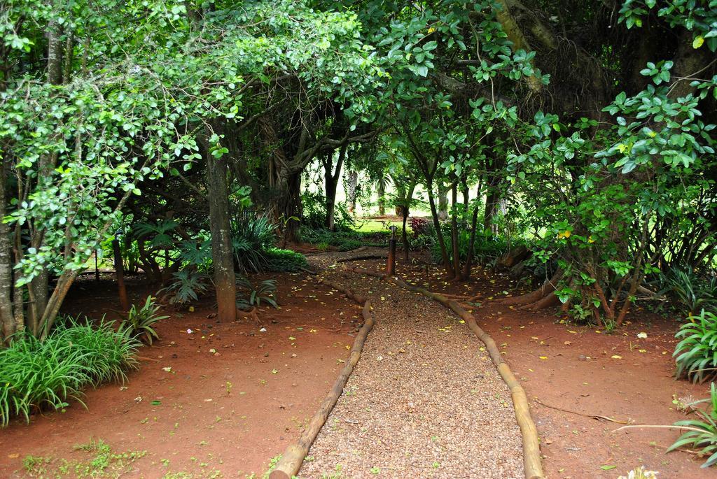 Mount Azimbo Lodge Louis Trichardt Luaran gambar