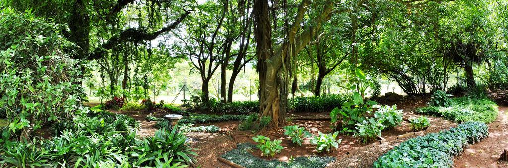 Mount Azimbo Lodge Louis Trichardt Luaran gambar